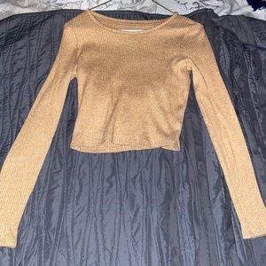 Cropped American eagle shirt